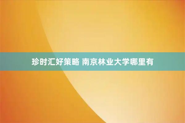 珍时汇好策略 南京林业大学哪里有