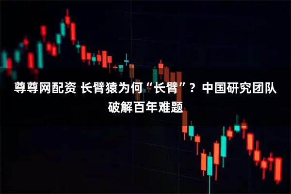 尊尊网配资 长臂猿为何“长臂”？中国研究团队破解百年难题