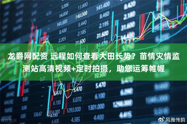 龙爵网配资 远程如何查看大田长势？苗情灾情监测站高清视频+定时拍摄，助您运筹帷幄